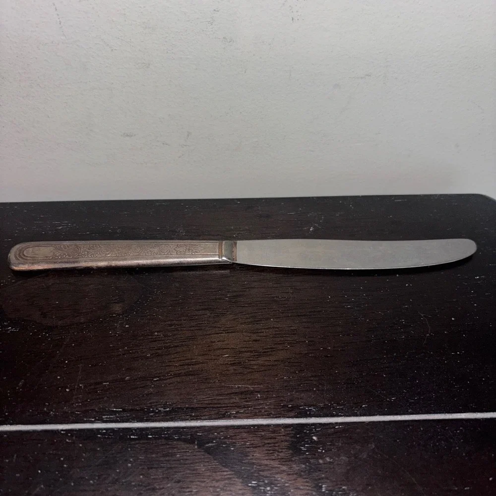 Vintage | Silver Plated‎ | Dinner Knife | Floral Handle